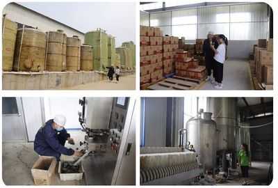 统食食品做客《齐鲁创业》 调味品致富经与食品销售新思路